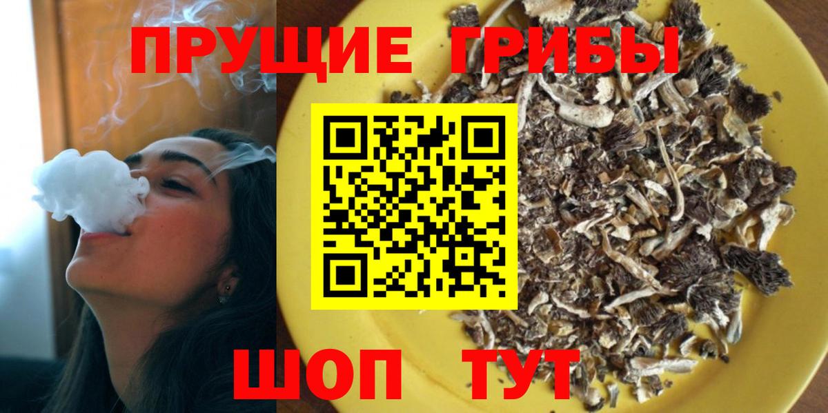 Острогожск  Псилоцибиновые грибы MAGIC MUSHROOMS  Вход с VPN 