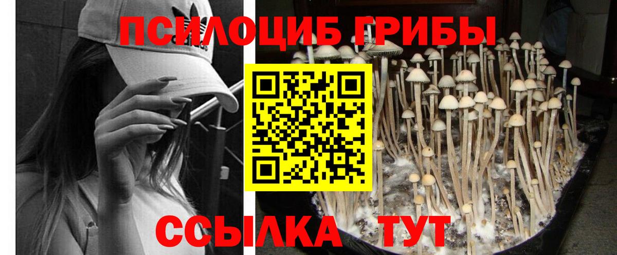 Галлюциногенные грибы ЛСД Острогожск
